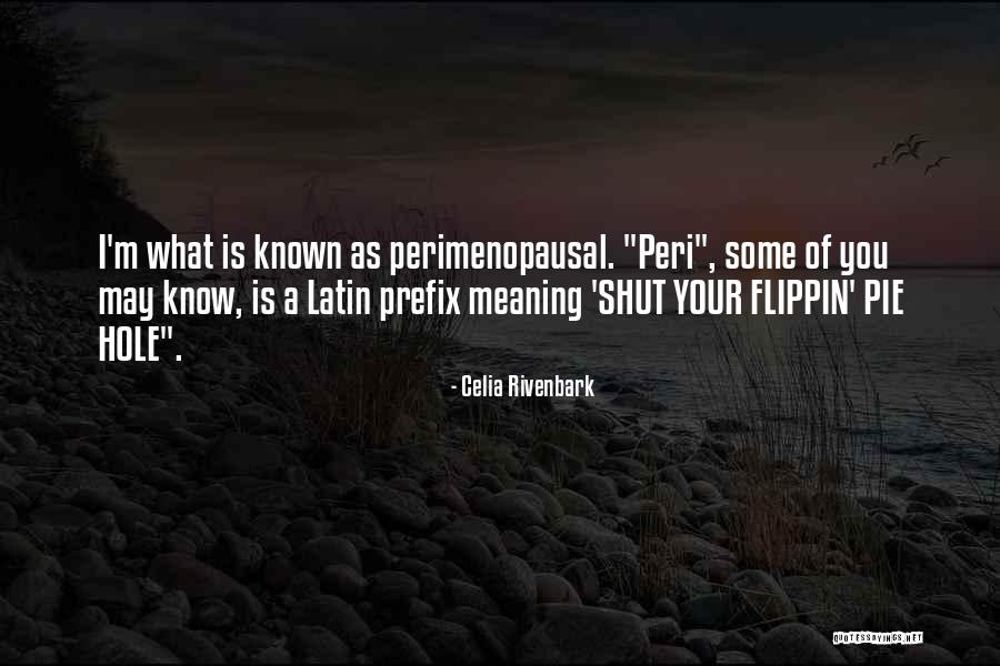 Latin Meaning Quotes By Celia Rivenbark