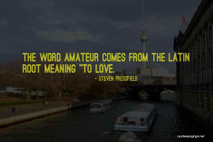 Latin Meaning Quotes By Steven Pressfield