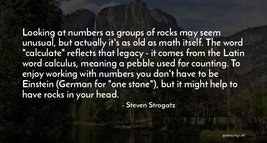 Latin Meaning Quotes By Steven Strogatz