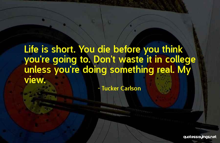 Latingames Quotes By Tucker Carlson Latingames Quotes By Tucker Carlson