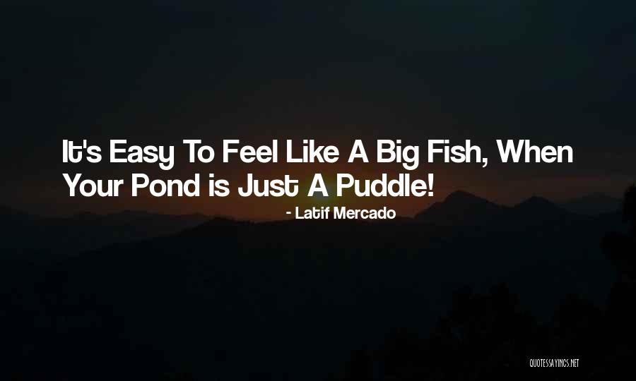 Latino Books Quotes By Latif Mercado Latino Books Quotes By Latif Mercado