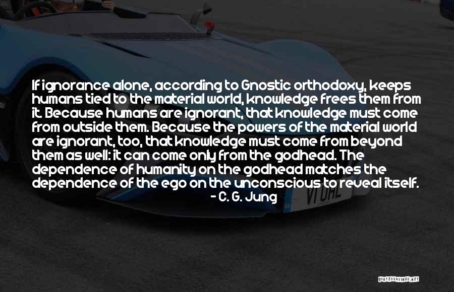 Latinoamericana Building Quotes By C. G. Jung