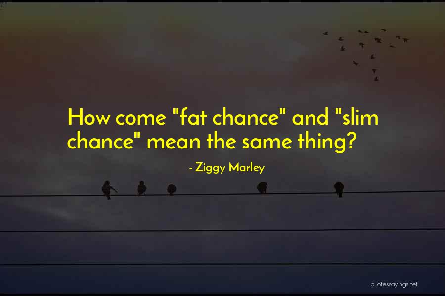 Latinos And Diabetes Quotes By Ziggy Marley Latinos And Diabetes Quotes By Ziggy Marley