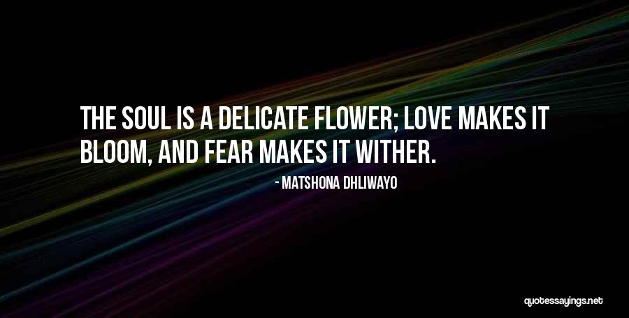 Latinska Quotes By Matshona Dhliwayo Latinska Quotes By Matshona Dhliwayo
