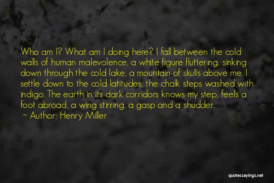 Latitudes Quotes By Henry Miller