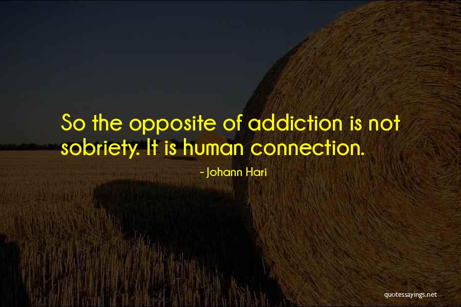 Latrines At Camp Quotes By Johann Hari Latrines At Camp Quotes By Johann Hari