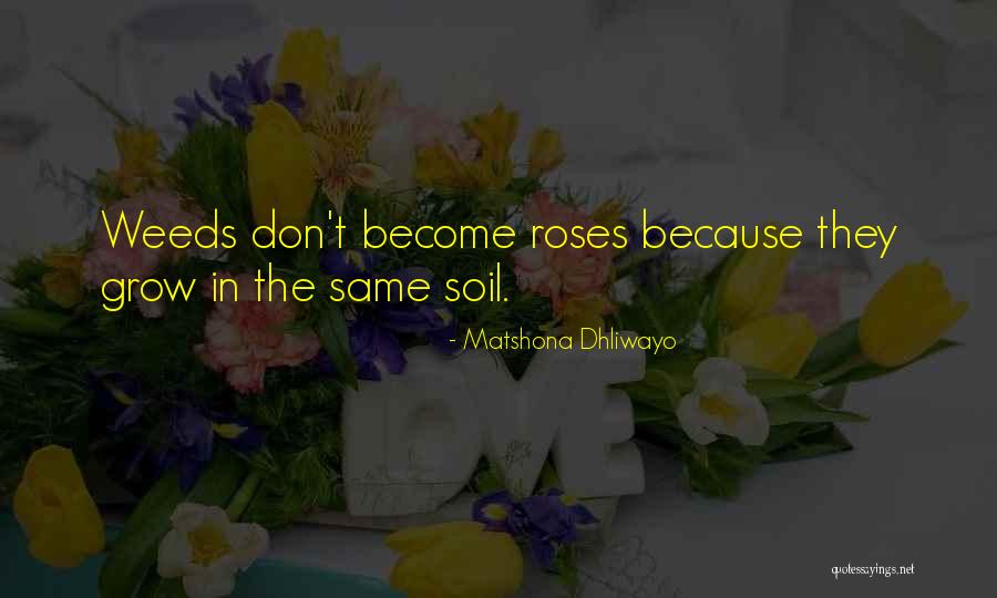 Lattention Que Quotes By Matshona Dhliwayo