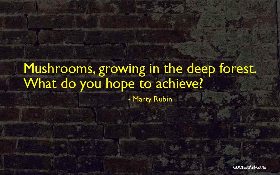 Latterman Tabs Quotes By Marty Rubin Latterman Tabs Quotes By Marty Rubin