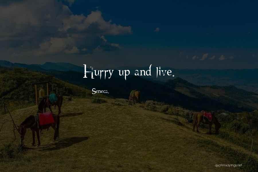 Lattribution Quotes By Seneca. Lattribution Quotes By Seneca.
