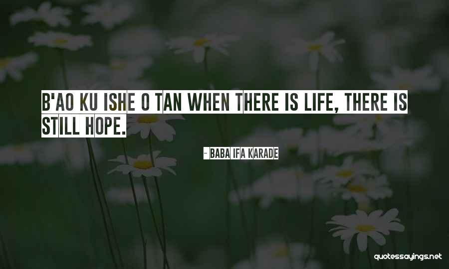 Laudani Inmobiliaria Quotes By Baba Ifa Karade