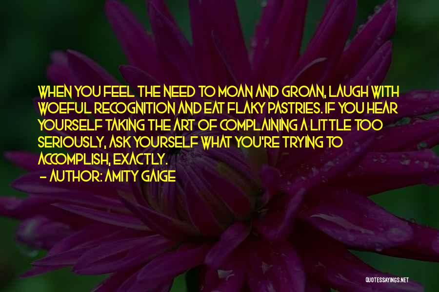 Laugh A Little Quotes By Amity Gaige