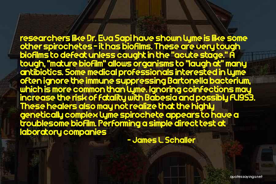 Laugh More Often Quotes By James L. Schaller Laugh More Often Quotes By James L. Schaller