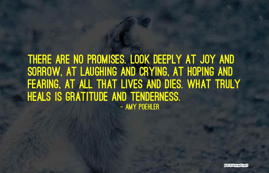 Laughing And Crying Quotes By Amy Poehler Laughing And Crying Quotes By Amy Poehler