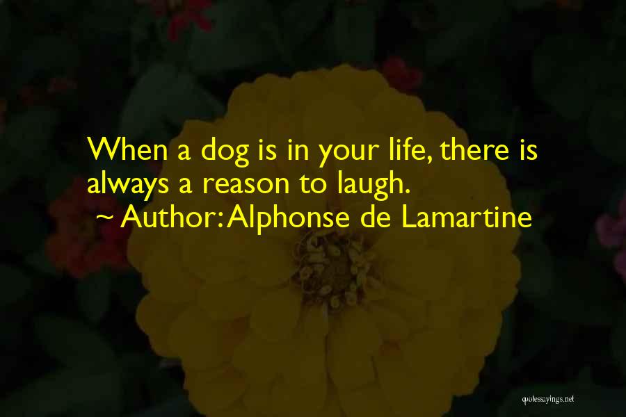 Laughing For No Reason Quotes By Alphonse De Lamartine