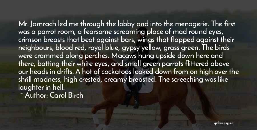 Laughter Out Of Place Quotes By Carol Birch