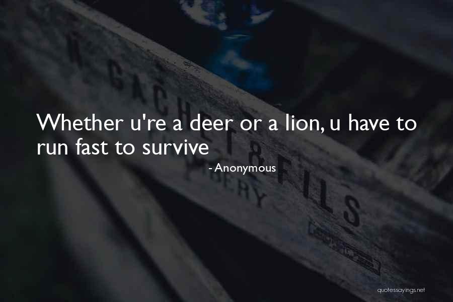 Lauire Peters Quotes By Anonymous Lauire Peters Quotes By Anonymous