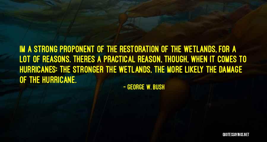 Laukosupynes Quotes By George W. Bush Laukosupynes Quotes By George W. Bush