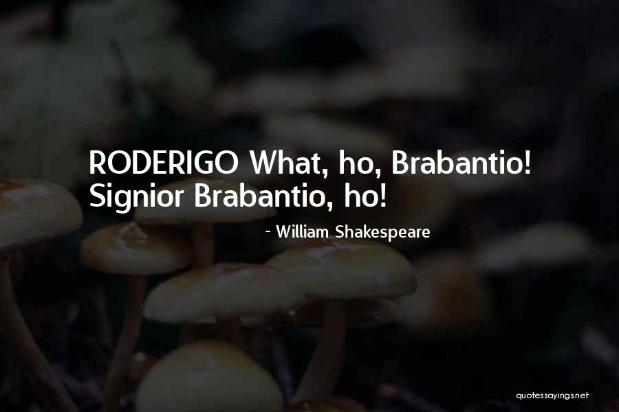 Laundry And Organizing Quotes By William Shakespeare Laundry And Organizing Quotes By William Shakespeare