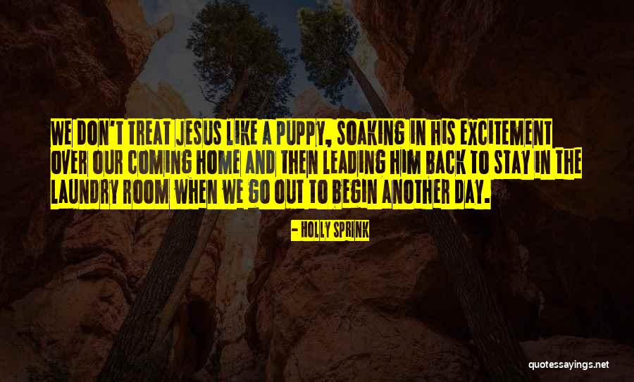 Laundry Day Quotes By Holly Sprink Laundry Day Quotes By Holly Sprink