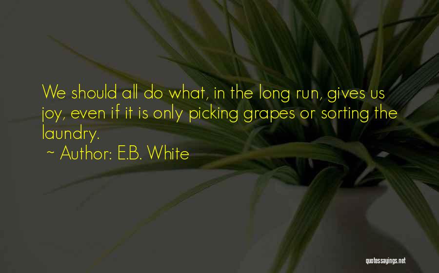 Laundry Quotes By E.B. White