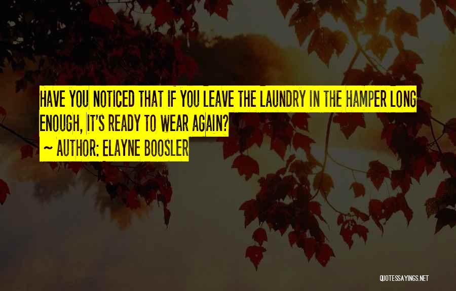 Laundry Quotes By Elayne Boosler