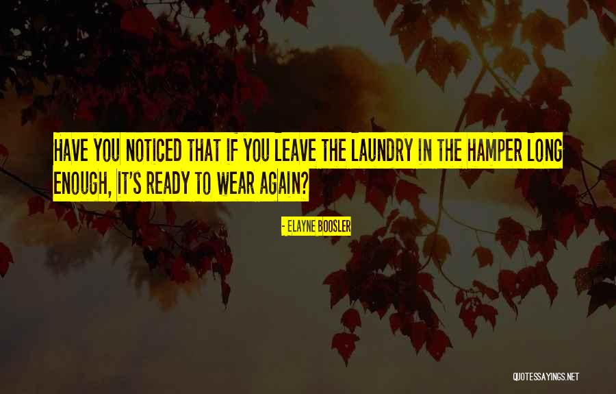 Laundry Quotes By Elayne Boosler