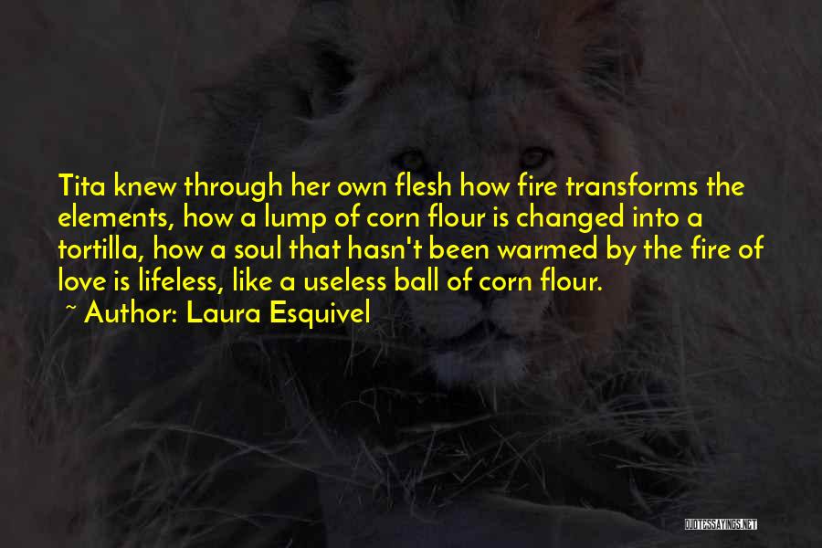 Laura Esquivel Quotes 523504