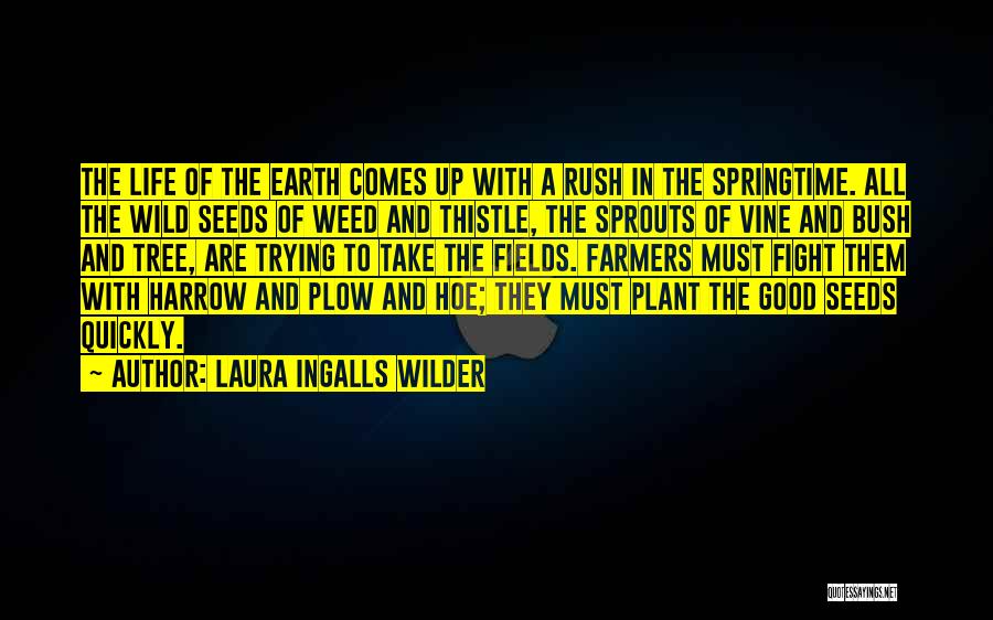 Laura Ingalls Wilder Quotes 2100329