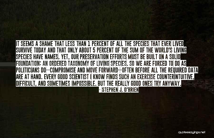 Laura Island Quotes By Stephen J. O'Brien Laura Island Quotes By Stephen J. O'Brien