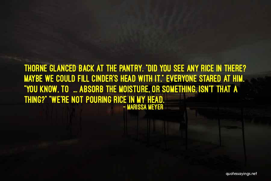 Laura Mcghee Quotes By Marissa Meyer Laura Mcghee Quotes By Marissa Meyer