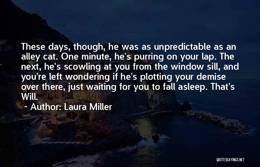 Laura Miller Quotes 1540103