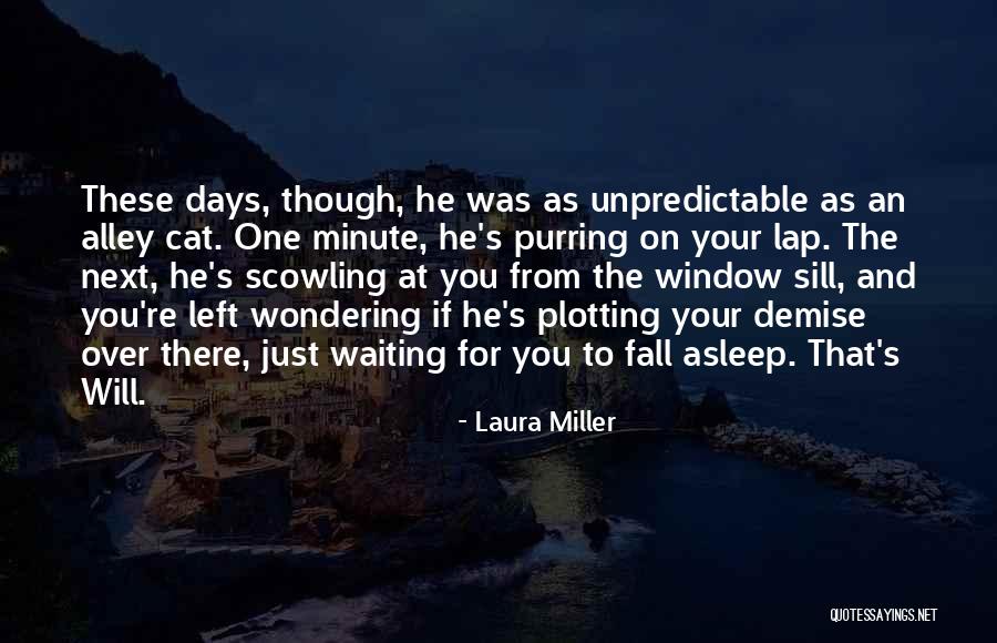 Laura Miller Quotes 1540103