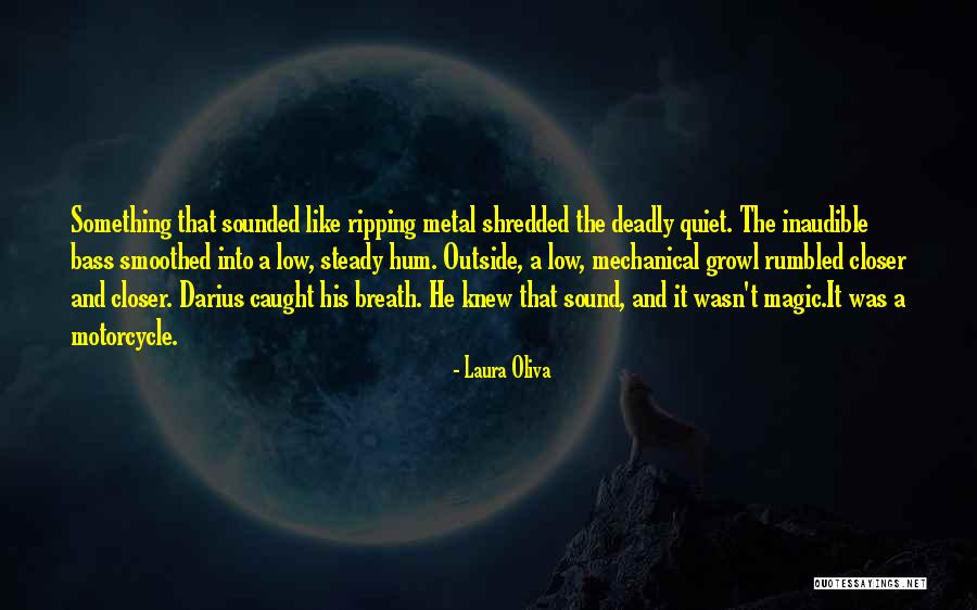 Laura Oliva Quotes 1050902 Laura Oliva Quotes 1050902