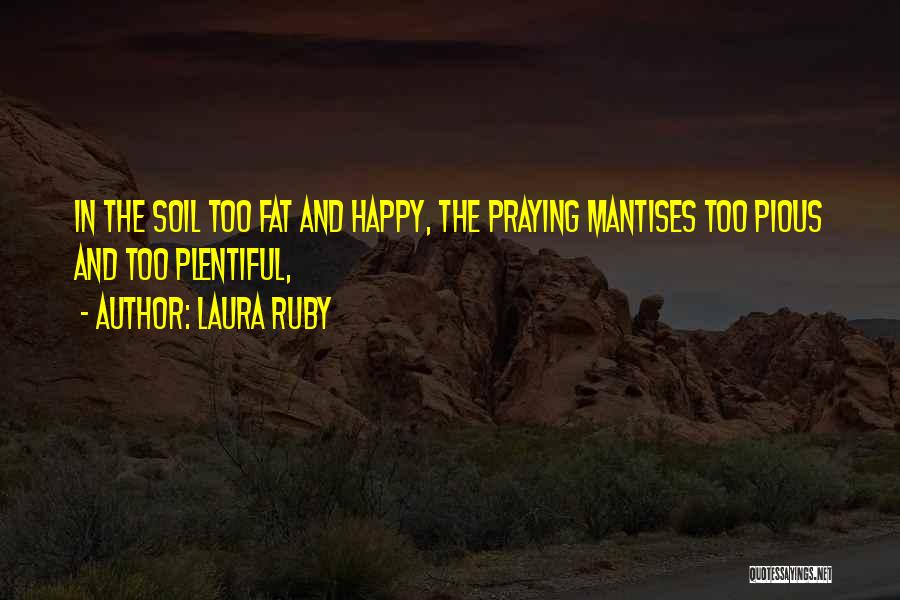 Laura Ruby Quotes 629560