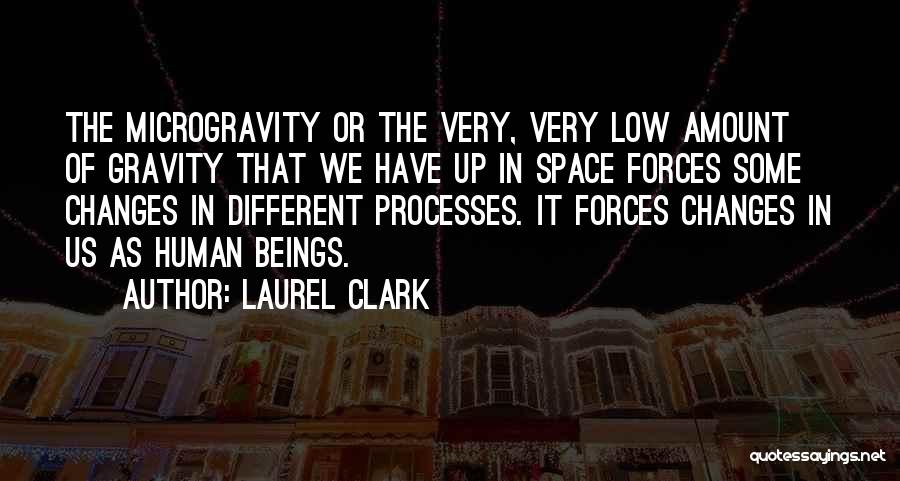 Laurel Clark Quotes 1471766