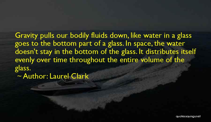 Laurel Clark Quotes 2059155