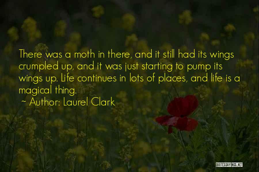 Laurel Clark Quotes 517503