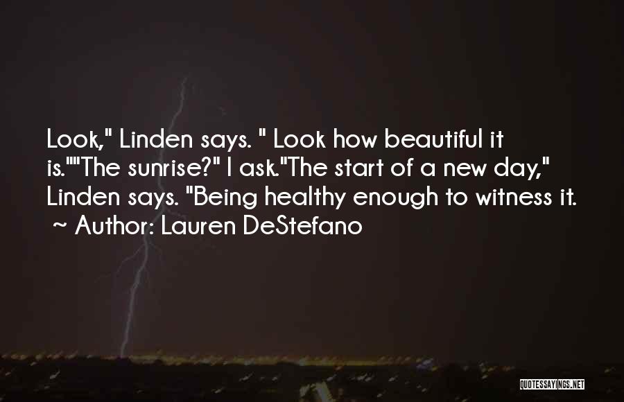 Lauren DeStefano Quotes 205493