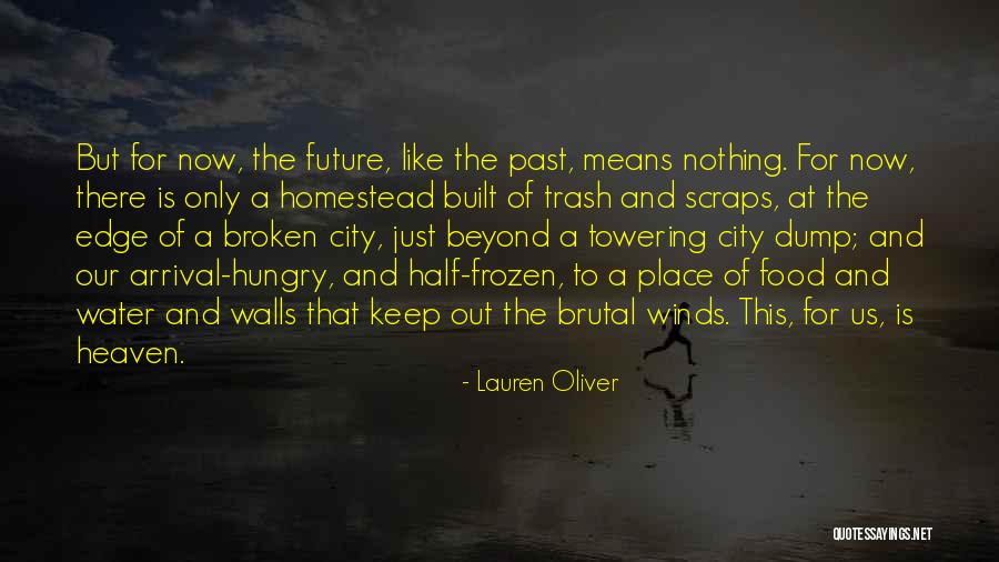 Lauren Oliver Quotes 2126793 Lauren Oliver Quotes 2126793