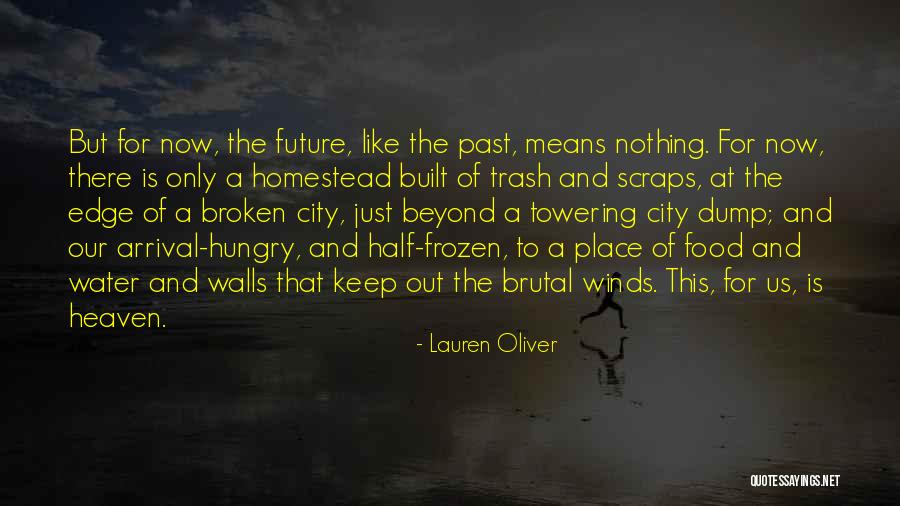 Lauren Oliver Quotes 2126793