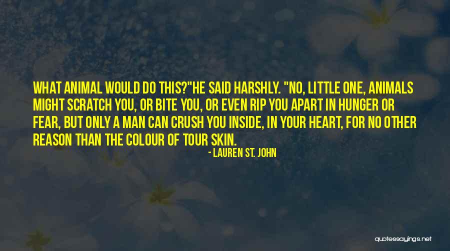 Lauren St. John Quotes 689719