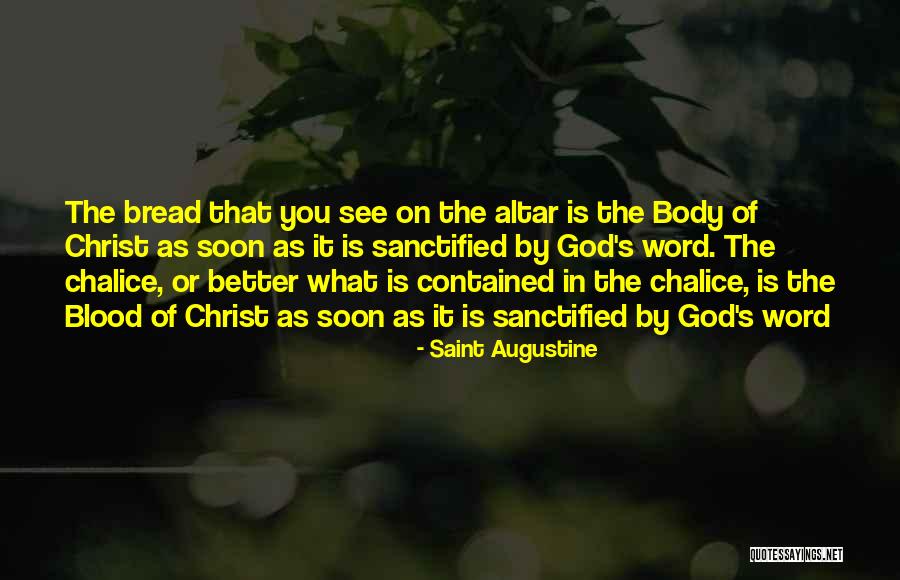 Laurentine Fromm Quotes By Saint Augustine Laurentine Fromm Quotes By Saint Augustine