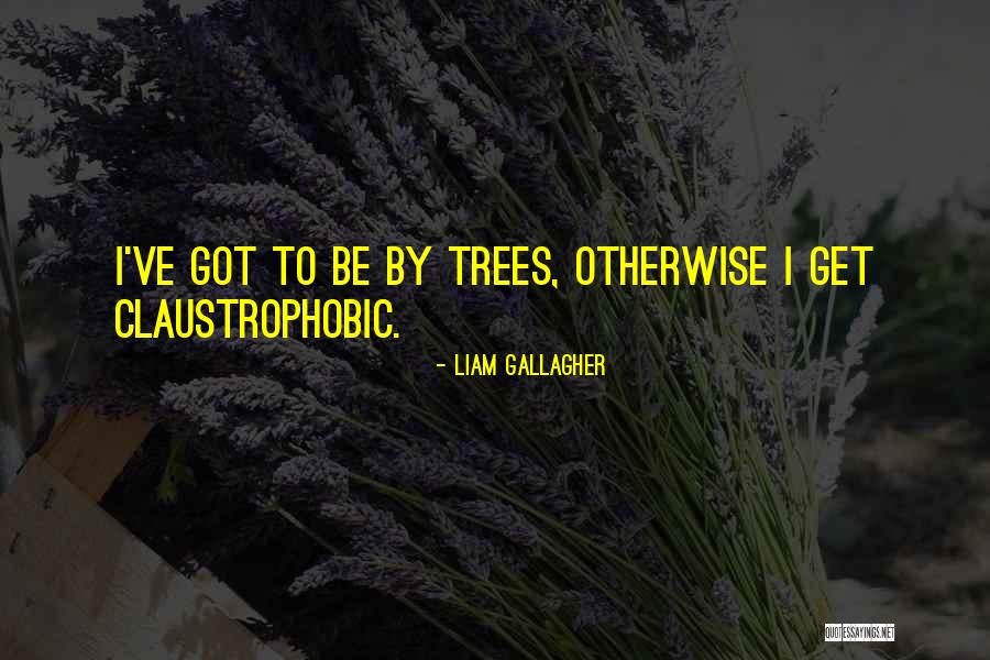 Lauricella And Associates Quotes By Liam Gallagher Lauricella And Associates Quotes By Liam Gallagher