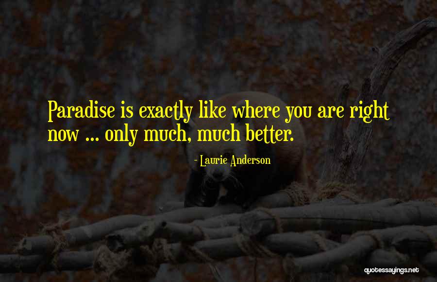 Laurie Anderson Quotes 821065 Laurie Anderson Quotes 821065