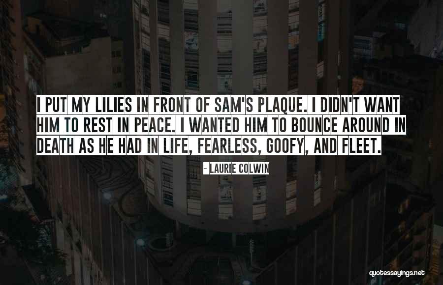 Laurie Colwin Quotes 1935628 Laurie Colwin Quotes 1935628