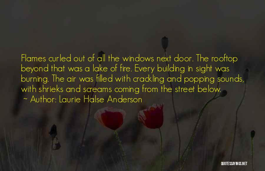 Laurie Halse Anderson Quotes 1946116