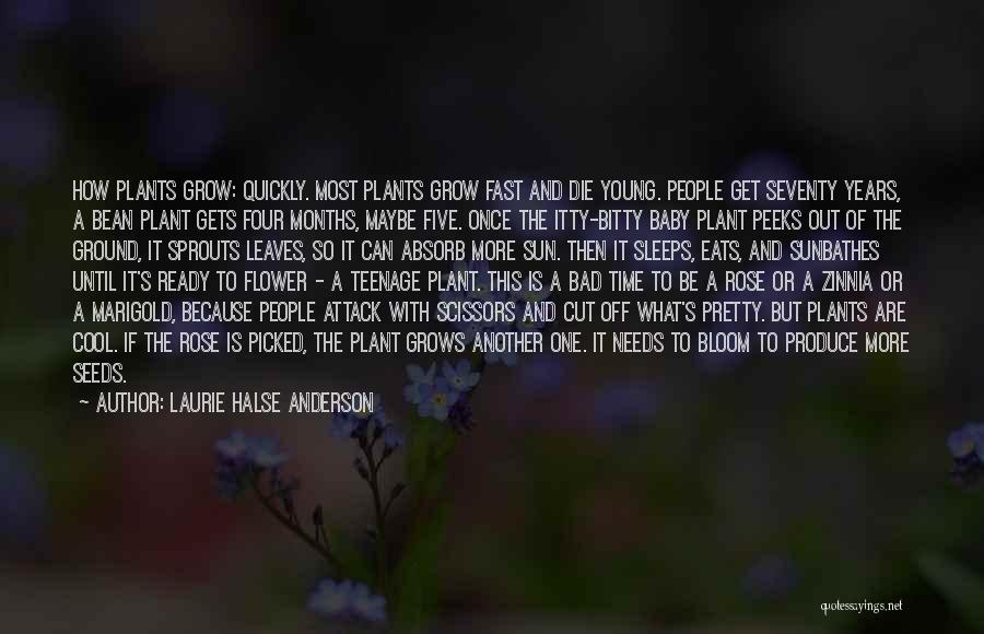 Laurie Halse Anderson Quotes 90469