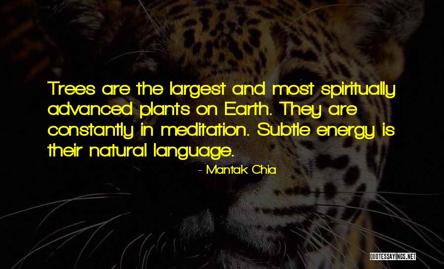 Laurielle Conte Quotes By Mantak Chia Laurielle Conte Quotes By Mantak Chia