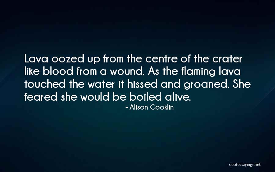 Lava Quotes By Alison Cooklin Lava Quotes By Alison Cooklin