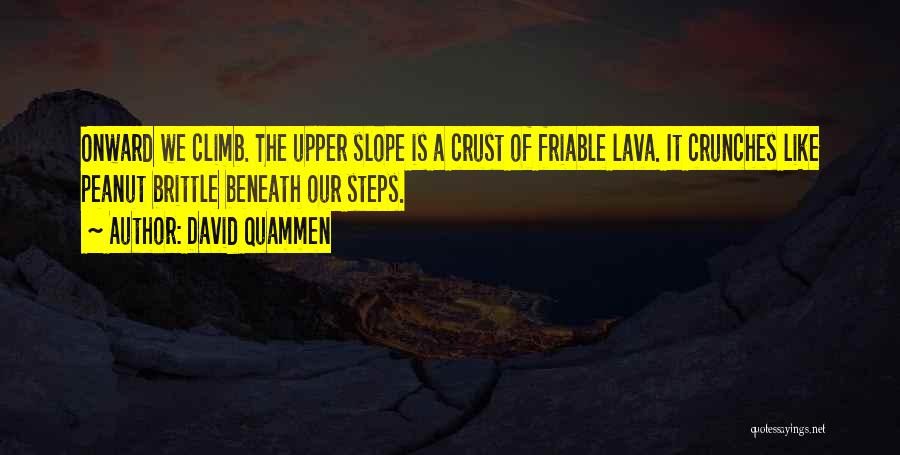 Lava Quotes By David Quammen